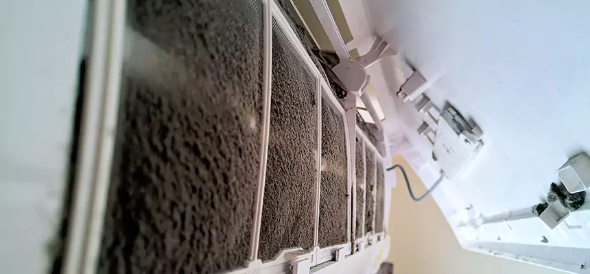 Preventive Air Duct Bacteria Removal in Cedar Falls