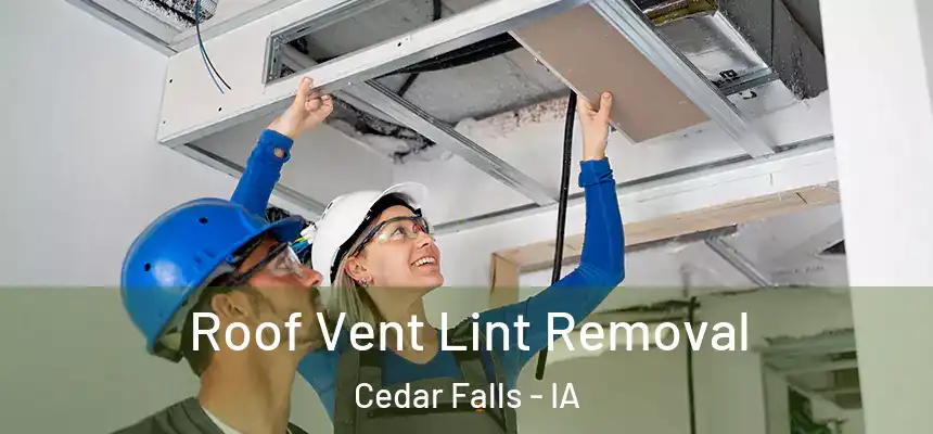  Roof Vent Lint Removal Cedar Falls - IA