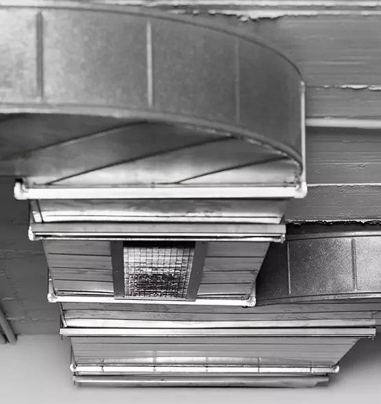 Professional Air Duct Pest Removal in Cedar Falls, IA