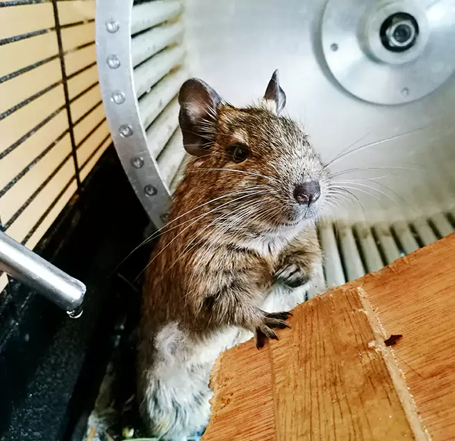 Why Homeowners & Businesses Trust Us Cedar Falls, IA?