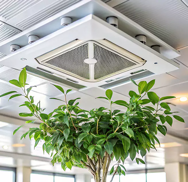 Why Homeowners & Businesses Trust Us in Cedar Falls, IA