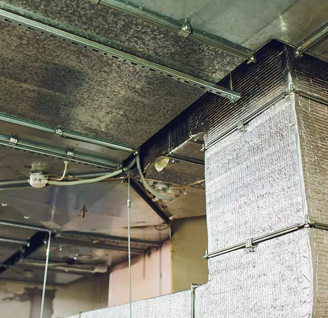 Why Homeowners & Businesses Trust Us in Cedar Falls, IA?